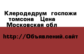 Клеродедрум  госпожи томсона › Цена ­ 200 - Московская обл.  »    